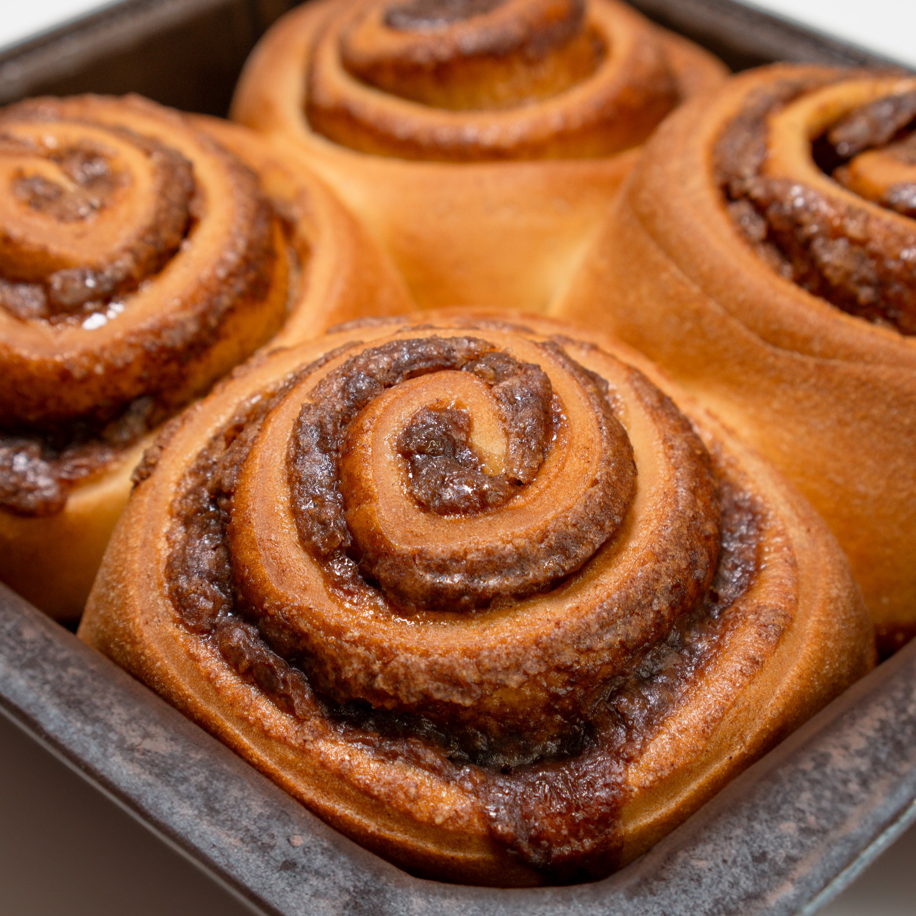 Cold Hollow - Maple Cinnamon Rolls