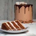 Chocolate cake with a slice cut out, showing layers, on a white plate with a fork.