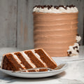 Chocolate cake with a slice on a plate in front of the whole cake.