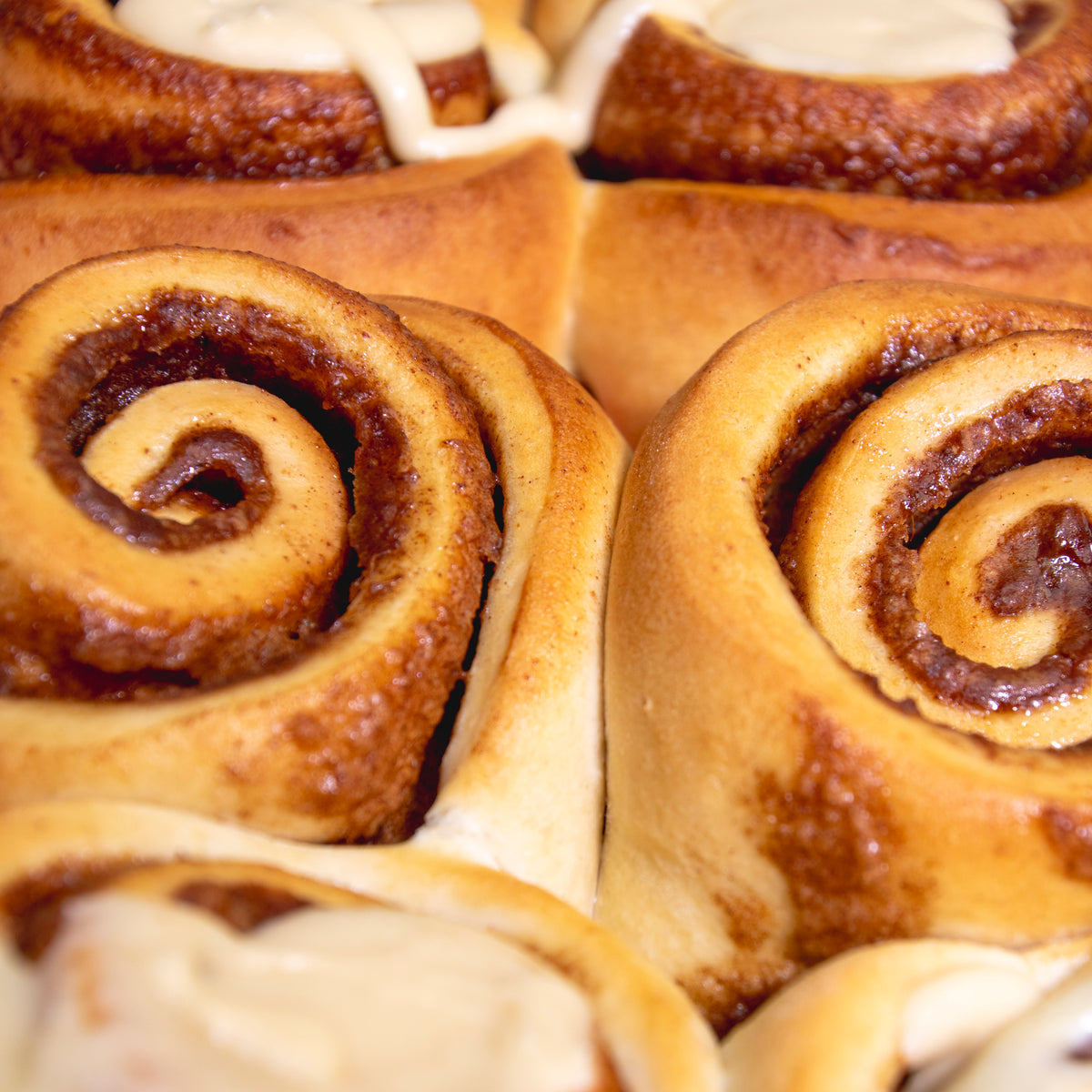 Cold Hollow - Maple Cinnamon Rolls