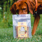 Cold Hollow Doggie's Donuts