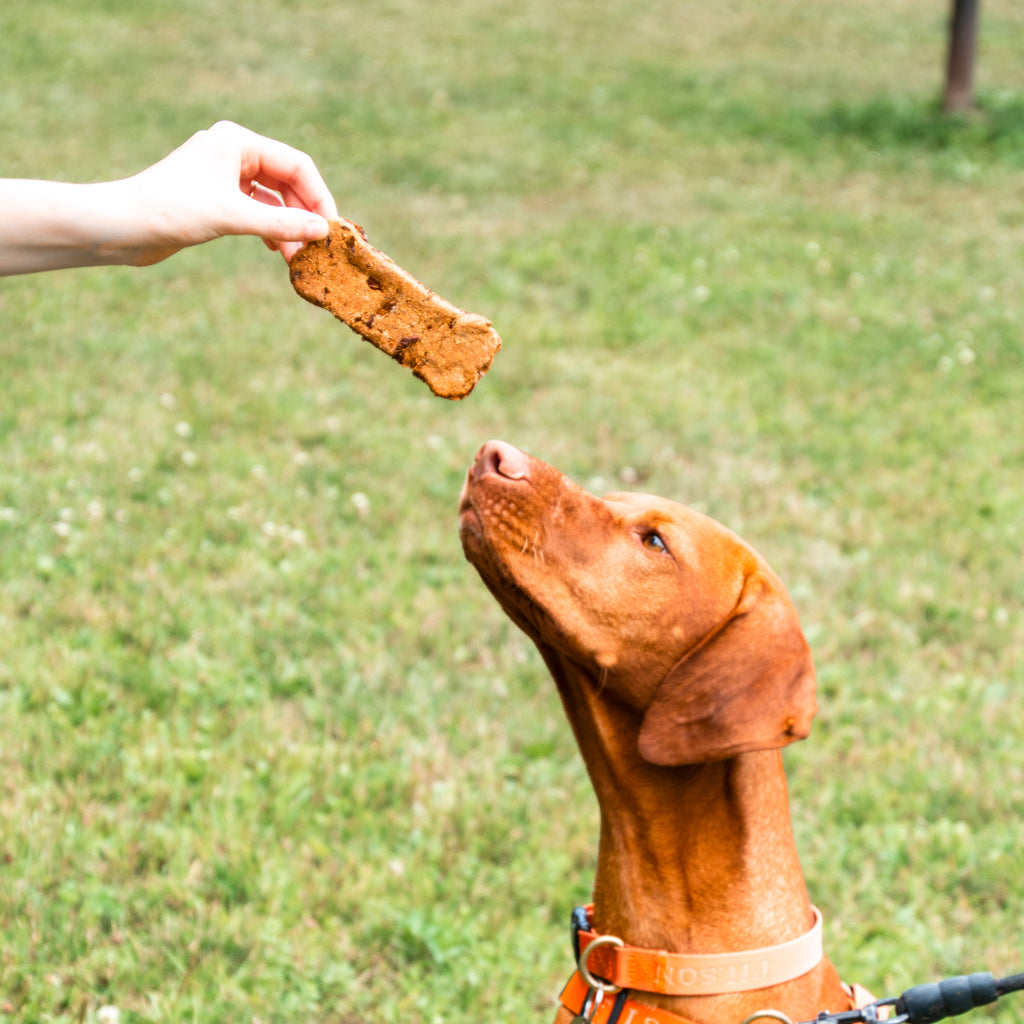 Cold Hollow Doggie's Donuts