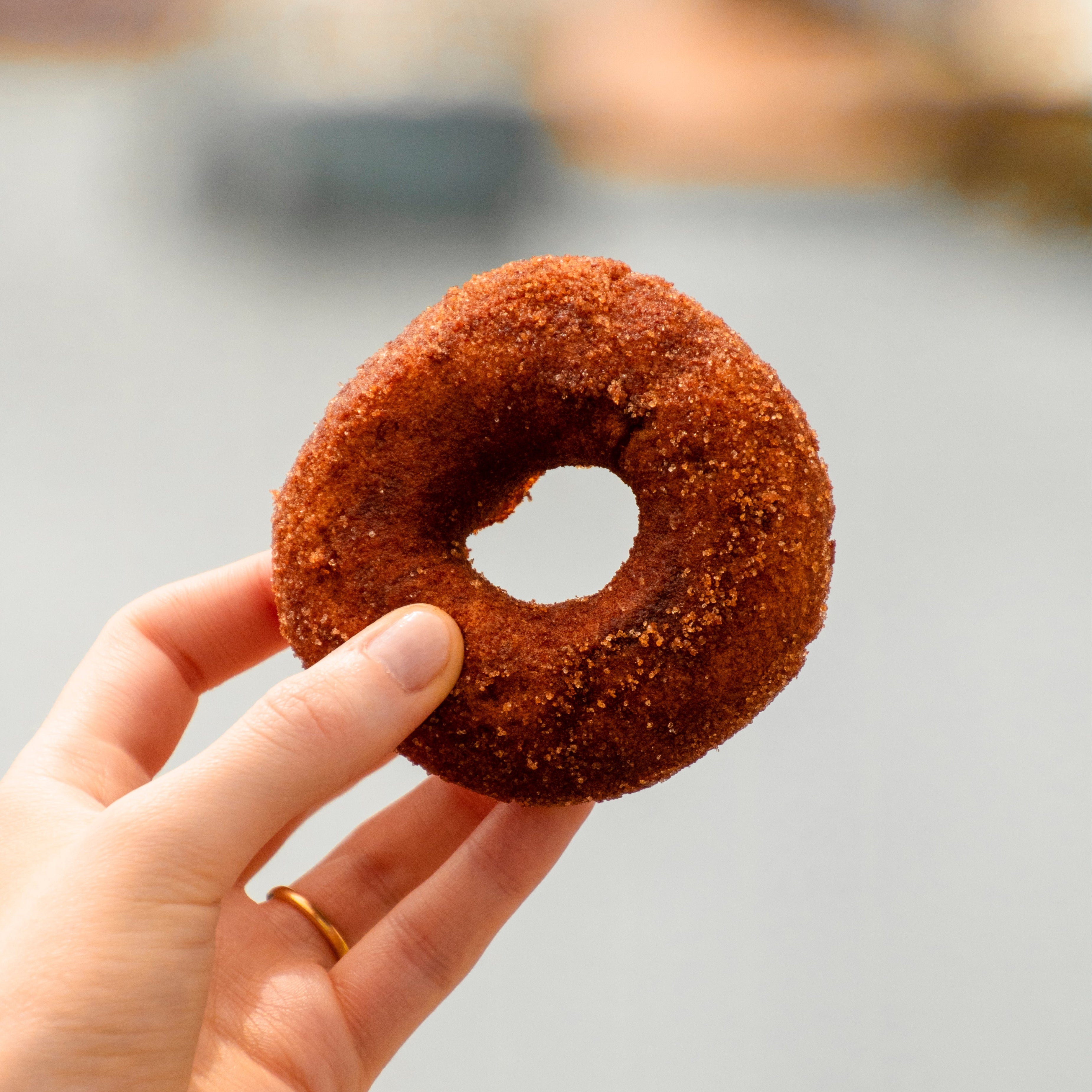 Cold Hollow - Legendary Cider Donuts