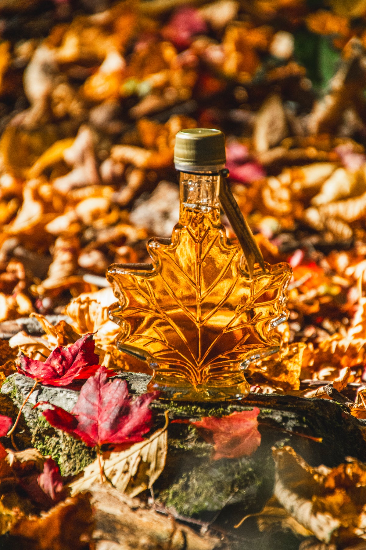 Cold Hollow - Maple Syrup Glass Leaf