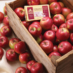 VT SNACK-10 APPLES/16OZ CHEESE