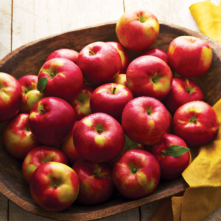 ABOUT US Cold Hollow Cider Mill